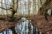 Bachlauf - 