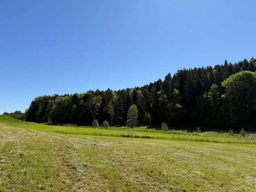 Bild15 - 