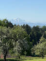 Bild18 - 