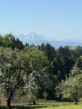 Bild18 - 