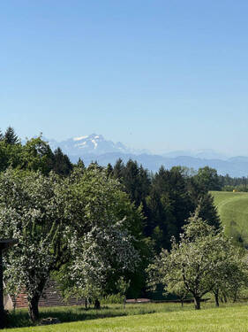 Bild19 - 