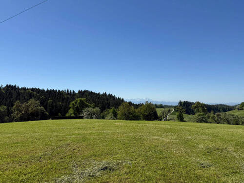 Bild20 - 