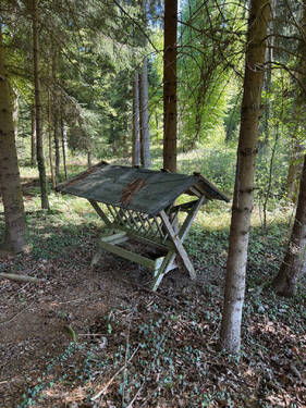Bild21 - 