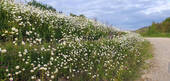 Bild23 - 