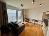 Wohnbereich - 1 Zimmer Etagenwohnung zur Miete in Fürth