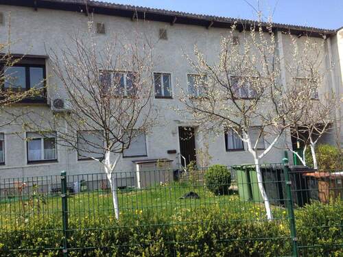 Vorderansicht Frühling - 