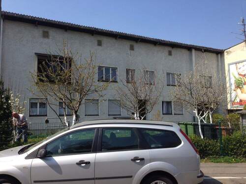 Vorderansicht Frühling - 