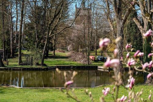 Bild 3 - 4 Zimmer Einfamilienhaus in Neuruppin