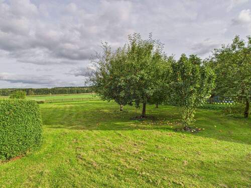 Garten mit Obstbäume - 