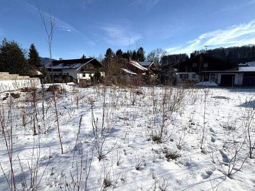 Sonniges Süd-Grundstück - Grundstück zum Kaufen in Großweil