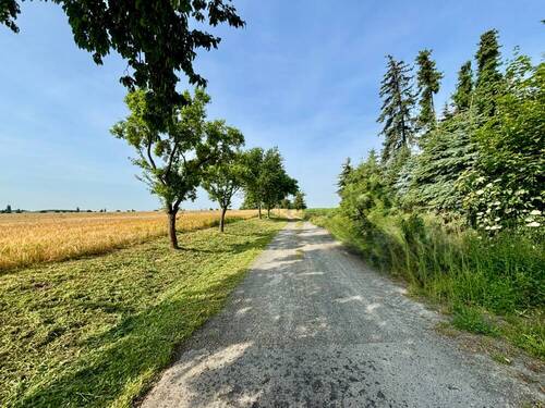Weg zum Feld - 6 Zimmer Doppelhaushälfte in Eilenburg / Pehritzsch