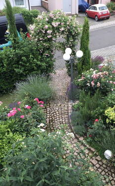 Bild 17 - 