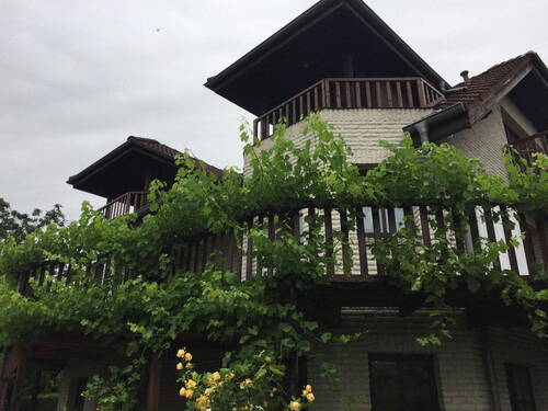 Bild 4 - Einfamilienhaus mit 213,00 m&sup2; in Partenheim zum Kaufen