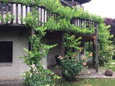Bild 7 - 