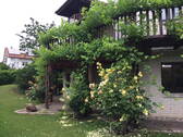 Bild 8 - 