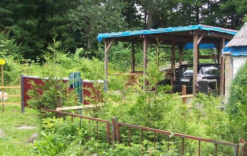 Bild vom Gartenbereich - Einfamilienhaus mit 97,20 m² in Karby zum Kaufen