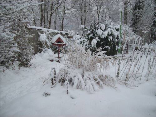 Gartenbereich im Schnee - 