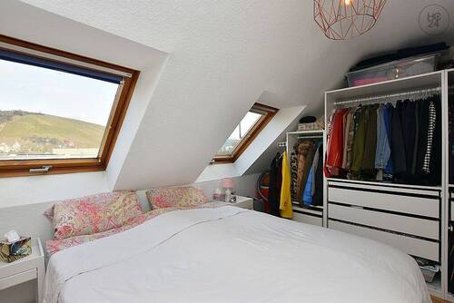 Bild19 - 