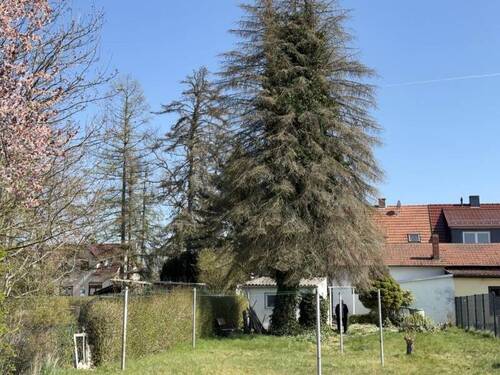 Garten - 