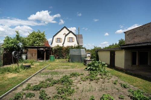 Blick in den Garten - 