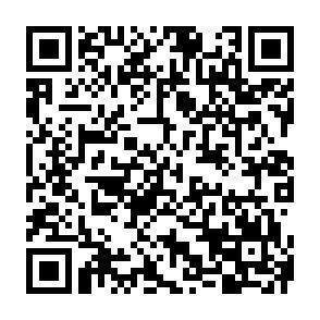 QR-Code - 