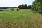 Wiese/Koppel nordseitig - 