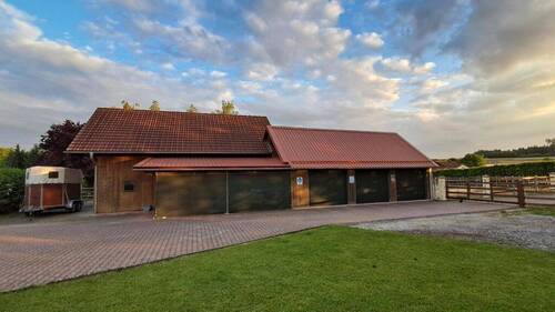 Wiese/Koppel südseitig - 