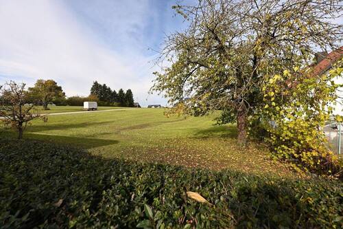 Blick nach Norden - Grundstück zum Kaufen in Gammelsdorf