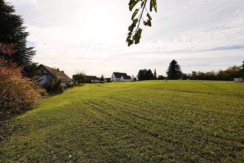 Blick nach Süden - Grundstück in Gammelsdorf