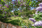 Gartenidylle - 