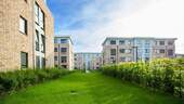 IMG_3360-2.jpg - 3 Zimmer Terrassenwohnung zur Miete in Neu Wulmstorf