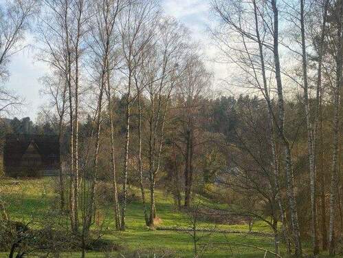 Bild 1.jpg - Baugrundstück 2 mit Wald und Wiesen