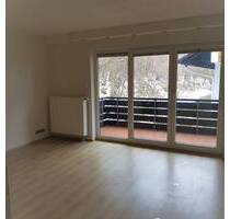 1,5 Zi.-Apartment mit EBK und großem Balkon - Herrischried Niedergebisbach