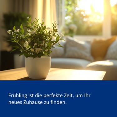 Haussuche - 