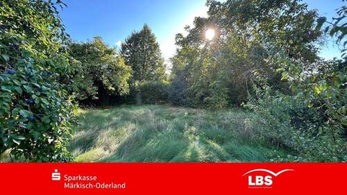 Hintere Grundstückshälfte - Oase im Ortszentrum - 130.000,00&nbsp;EUR Kaufpreis, ca.&nbsp; 0,00&nbsp;m&sup2;