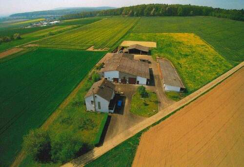 Bild2 - 5 Zimmer Mehrfamilienhaus, Wohnhaus zum Kaufen in Münzenberg - Münzenberg