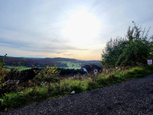 20251105_112633 - Grundstück in Ortenberg