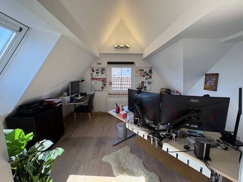 Zimmer DG - 