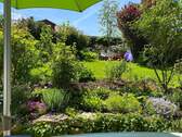 Sonniger Garten - 