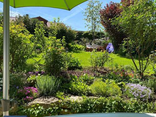 Sonniger Garten - 