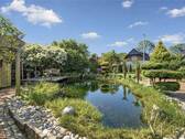 Teich - 