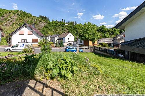 gemeinschaftlicher Garten vorne - 