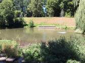 Schloßweiher - 