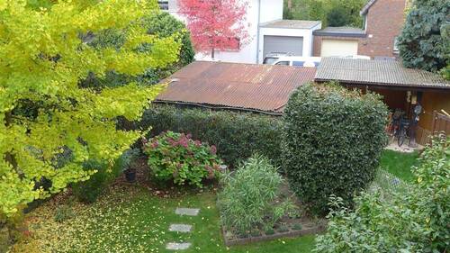Blick in den Garten - 