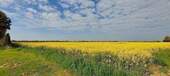 Umgebung - 