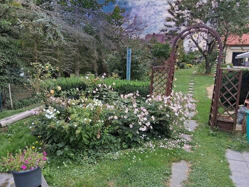 Garten - 