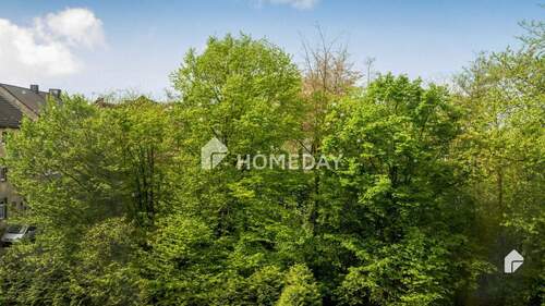 Ausblick - 