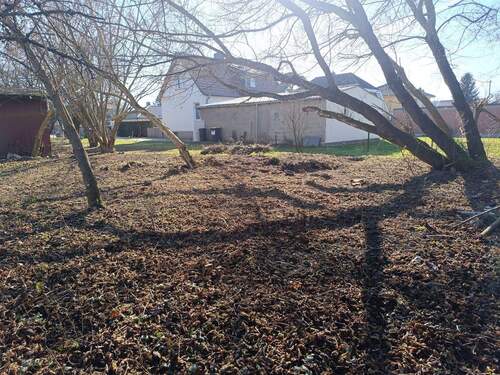 1741074052307.jpg - Grundstück zum Kaufen in Brieselang