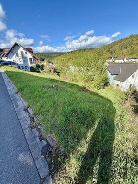 Frontalansicht - Grundstück in Frammersbach