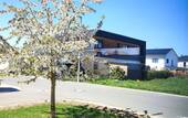 Ausblick vom Wohnzimmer - 